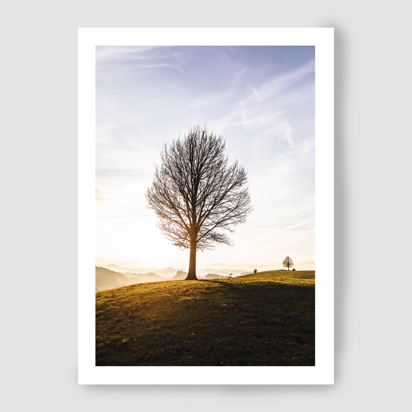 Carte Tree of Life