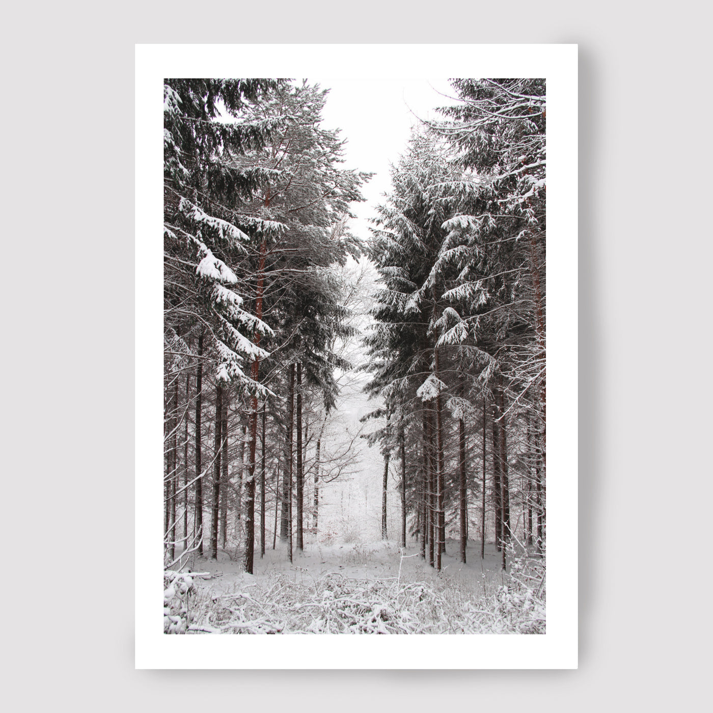 Carte Forêt d'hiver