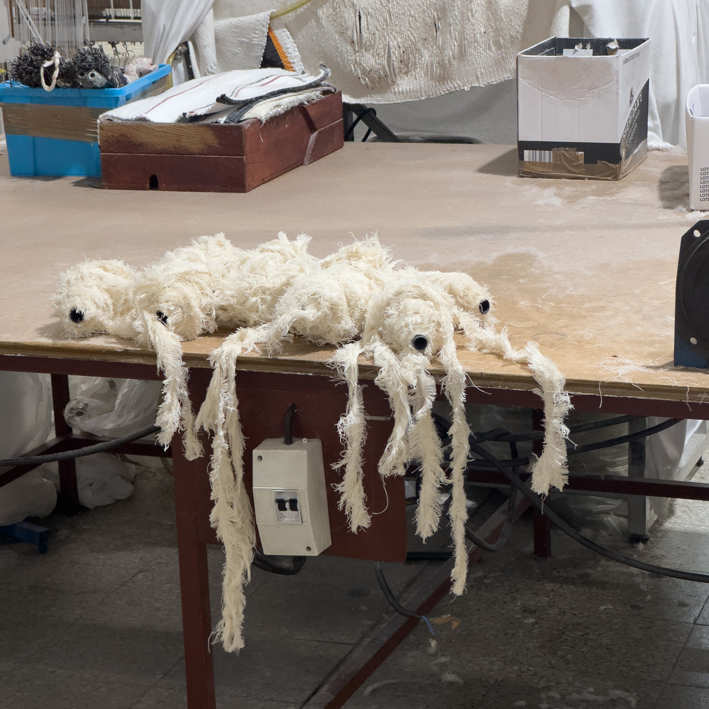 Des restes de coton sont posés sur une table