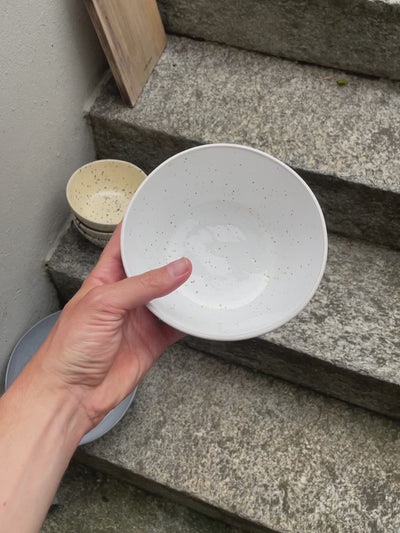 Bowl de plats principaux Serra